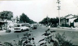 临汾解放路最新爆料,最新爆料揭秘城市新地标