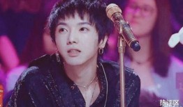 最新爆料华晨宇,神秘事件引发全网热议