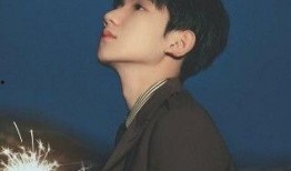 娱乐圈吃瓜男歌手